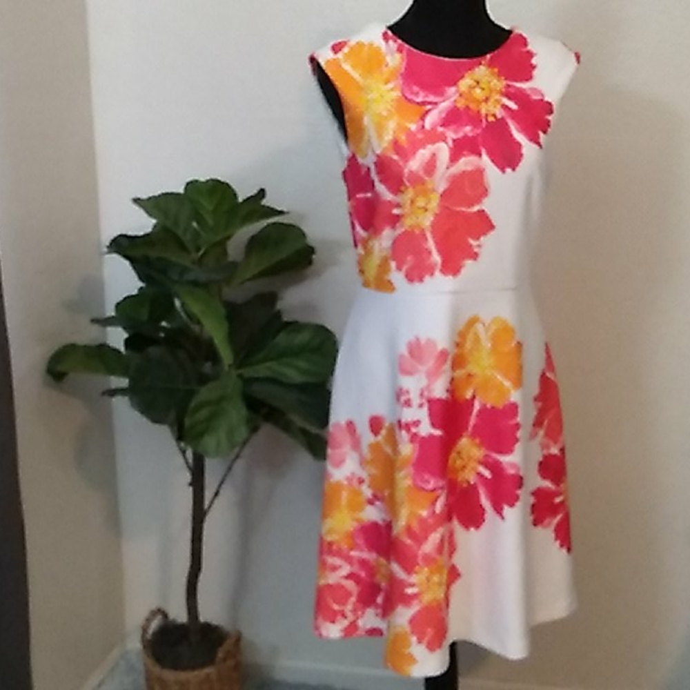 Sandra Darren white floral dress